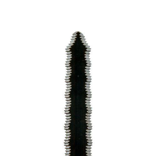 Equalizer Messer, gezahnt 100 mm