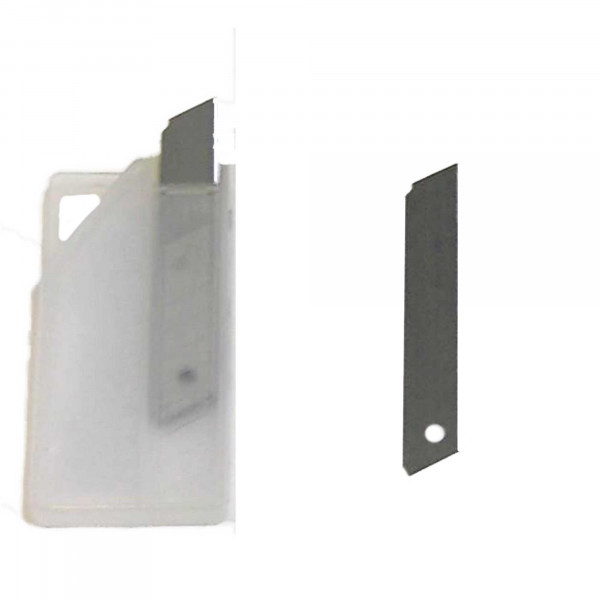 Suction cup with raised edge